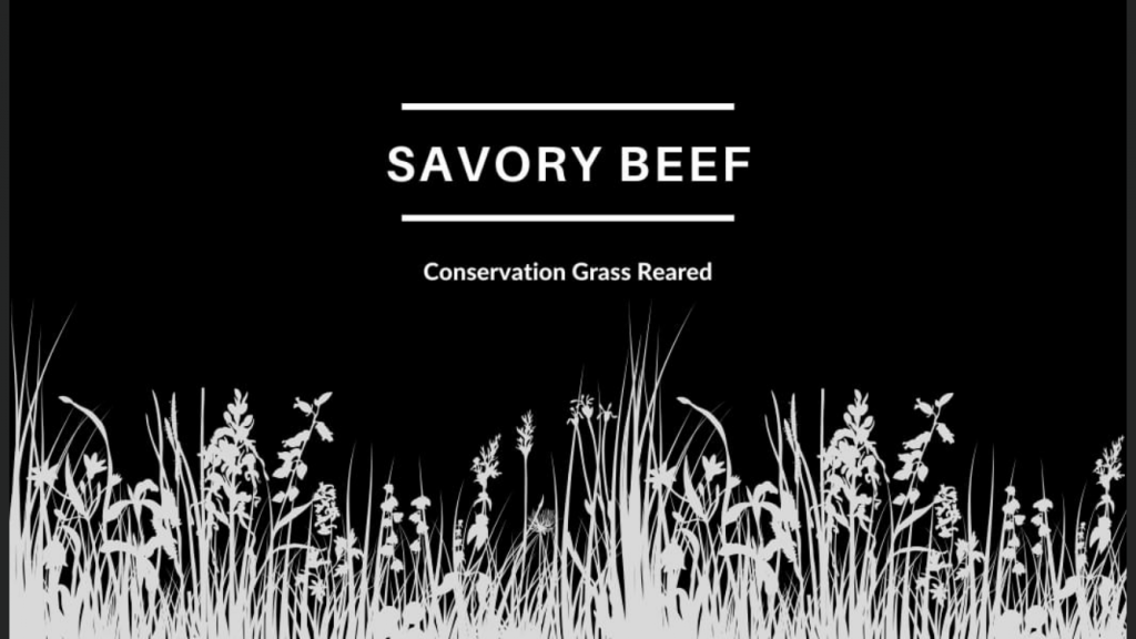 Savory Beef logo